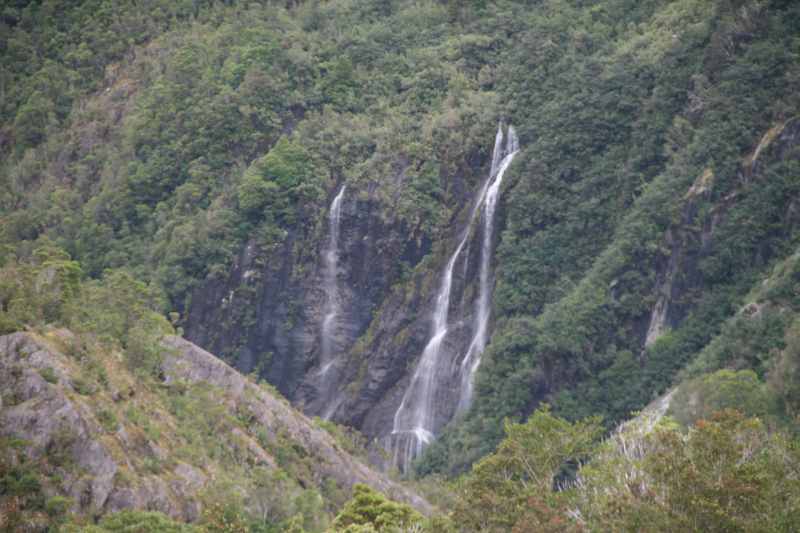 Nieuw-Zeeland 2011 - 1420
